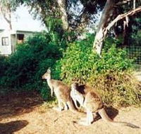 Avoca Dell Caravan Park - Accommodation Brisbane