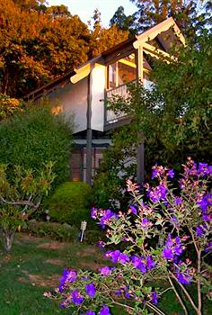 Annie Roe's Luxury Bed & Breakfast - Accommodation Brisbane 4