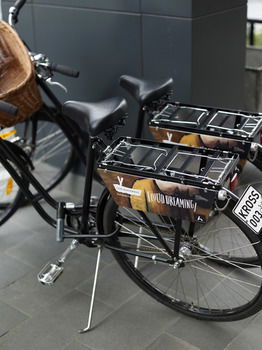 Art Series-The Blackman - Accommodation Brisbane 5