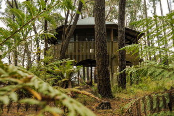 Federation Gardens & Possums Hideaway - Accommodation Brisbane 3