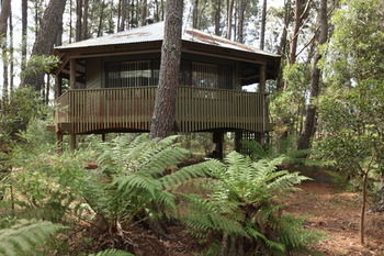 Federation Gardens & Possums Hideaway - Accommodation Brisbane 8