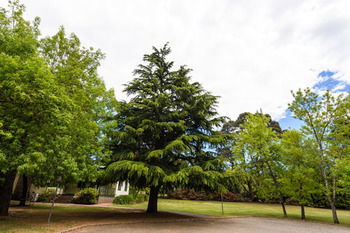 Federation Gardens & Possums Hideaway - Accommodation Brisbane 41