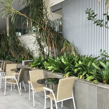 Best Western Premier Hotel 115 Kew - Accommodation Brisbane 22