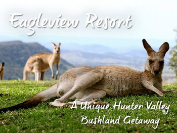 Eagleview Resort - Accommodation Brisbane 45