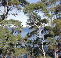 The Edgewater Bed amp Breakfast