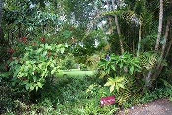 Sunshine Valley Cottages - Accommodation Brisbane 8