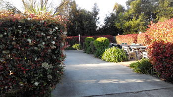 Branxton House Motel, Hunter Valley - Accommodation Brisbane 13