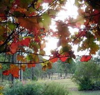 Elfin Hill Country Accommodation - Accommodation Brisbane