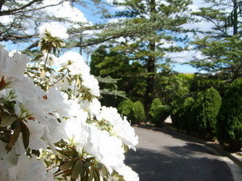 Tantarra Bed And Breakfast - Accommodation Brisbane 15