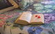 The Heart Of Emerald Bed & Breakfast - thumb 9