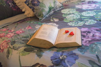 The Heart Of Emerald Bed & Breakfast - Accommodation Brisbane 9