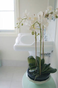 The Heart Of Emerald Bed & Breakfast - Accommodation Brisbane 30