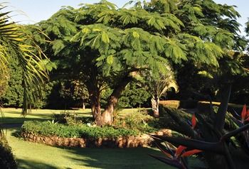 Peppertree Cottage - Accommodation Brisbane 10