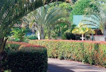 Peppertree Cottage - Accommodation Brisbane 21