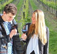 Valley Farm Vineyard Cottages - Accommodation Brisbane