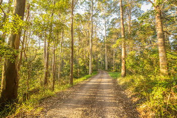 Alaya Verde - Accommodation Brisbane 34