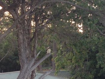 Huskisson Beach Bed And Breakfast - Accommodation Brisbane 7