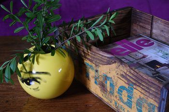 Tuck Inn Yarra Valley - Accommodation Brisbane 12