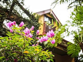 The Regents Park - Accommodation Brisbane 3