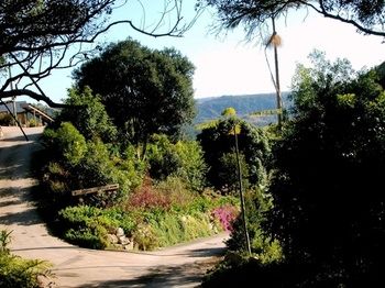 Top Of The Hill - Accommodation Brisbane 3