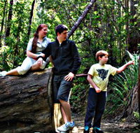 Tahune Airwalk Lodge - Accommodation Brisbane