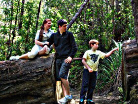 Tahune Airwalk Lodge - Accommodation Brisbane 0