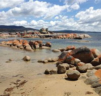 Lake Eckersley campground - Accommodation Brisbane