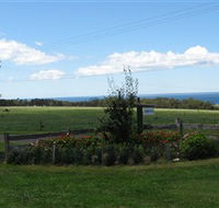 Blueberry B  B - Accommodation Brisbane