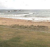 Penguin Caravan Park - Accommodation Brisbane