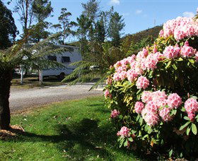 Zeehan Bush Camp  And Caravan Park - Accommodation Brisbane 0