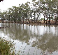 Riverbank Caravan Park - Accommodation Brisbane