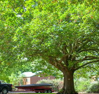 Lakes and Craters Holiday Park - Accommodation Brisbane