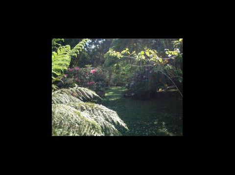 A Country House At Winstanley - Accommodation Brisbane 4