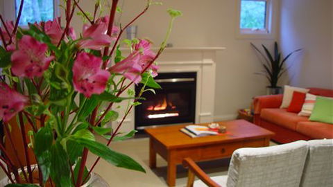 Around About Lorne Studios Or B&B - Accommodation Brisbane 4