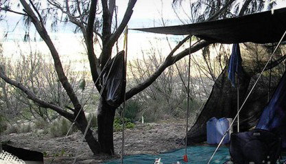 Main Beach Foreshore Camping Grounds - Accommodation Brisbane 0