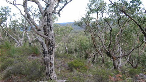 The Glen - Accommodation Brisbane 0