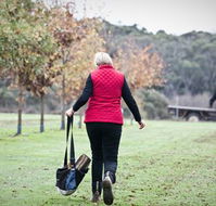 Black Cat Cottage - Accommodation Brisbane