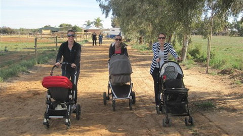 Cabarita Lodge - Accommodation Brisbane 3