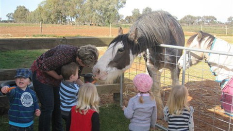 Cabarita Lodge - Accommodation Brisbane 4