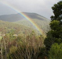 Wattletree Cottage - Accommodation Brisbane