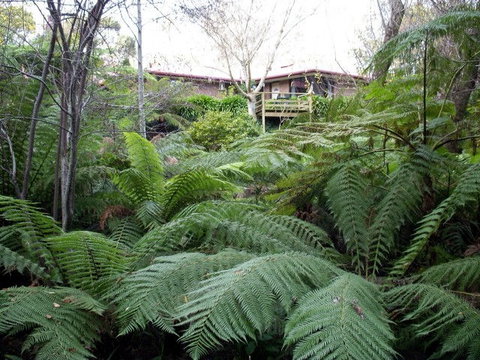 Adelaide Hills Bed & Breakfast Accommodation - Accommodation Brisbane 3