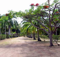 Alva Beach Tourist Park - Accommodation Brisbane