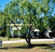 Blue Topaz Caravan Park  Camping Ground - Accommodation Brisbane