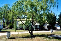 Blue Topaz Caravan Park & Camping Ground - Accommodation Brisbane 0