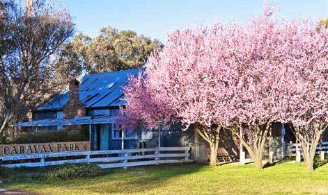 Bushlands Tourist Park - Accommodation Brisbane 3
