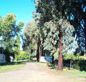Cudal Caravan Park - Accommodation Brisbane