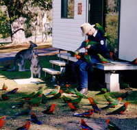 Inland Waters Holiday Parks Burrinjuck - Accommodation Brisbane