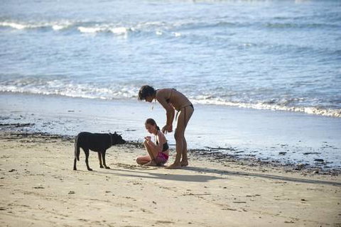 North Coast Holiday Parks Scotts Head - Accommodation Brisbane 2