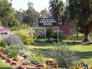 Macquarie Caravan Park - Accommodation Brisbane 1