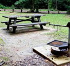 Bellbird campground - Accommodation Brisbane
